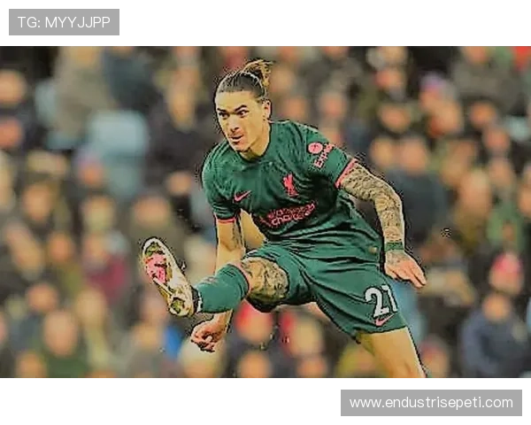 努涅斯射门技巧分析：稳固表现与威力提升的关键要素