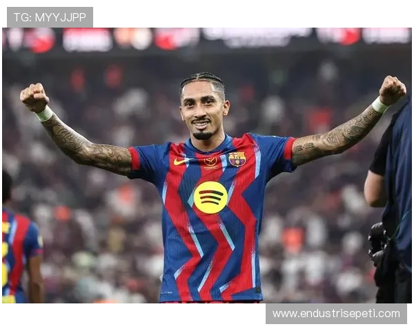 拉菲尼亚转会费总和创历史新高,足球市场走势清晰体现新趋势 拉菲尼亚转会费总和创历史新高,足球市场走势清晰体现新趋势