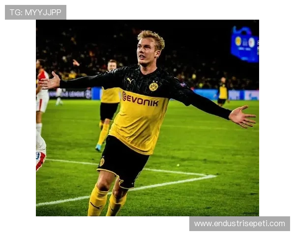 不来梅球员表现