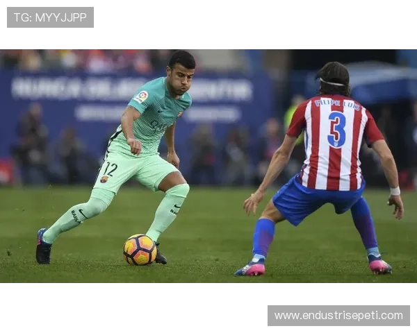 拉菲尼亚战术适配性