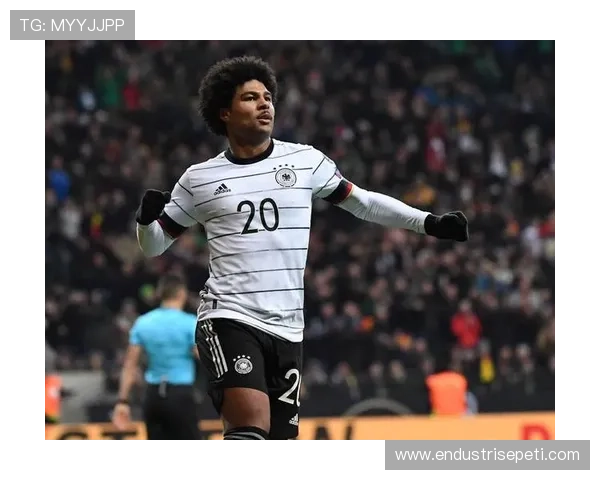 格纳布里比赛影响指数 格纳布里比赛影响指数