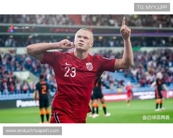 哈兰德早期欧冠小组赛进球爆发解析