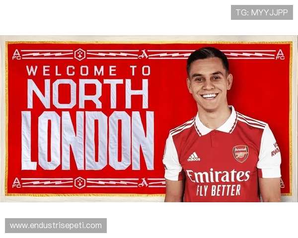 布莱顿时期爆发：特罗萨德如何成为进攻核心