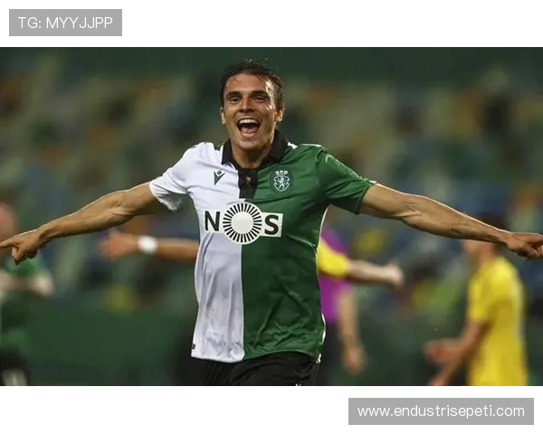 帕利尼亚在葡萄牙国家队的主力后腰地位解析 帕利尼亚在葡萄牙国家队的主力后腰地位解析