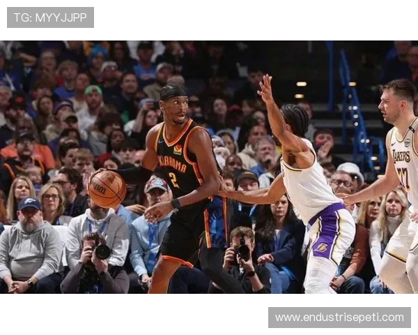 安东尼·戴维斯挡拆制造威胁，提升湖人内线得分效率明显